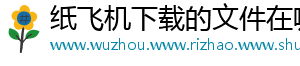 纸飞机下载的文件在哪里